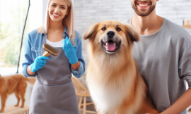 Grooming Showdown: DIY vs. Professional Puppy Pampering!