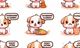 Special Dietary Considerations for Puppies: Allergies and Sensitivities