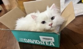 Cardboard Boxes and Paper Bags