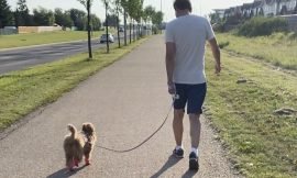 The Unconditional Love of a Dog: A Bond Beyond Self