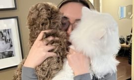 The Furry Carry: Understanding Why Carrying a Cat Feels Different from Carrying a Dog of the Same Size