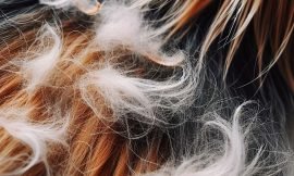 Seasonal Shedding: Managing Your Dog’s and Cat’s Coat During Fall