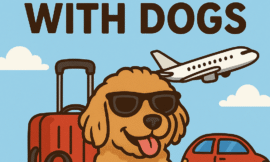 ✈️🚗 Traveling with Dogs: Butter’s Tips for Road Trips and Flights